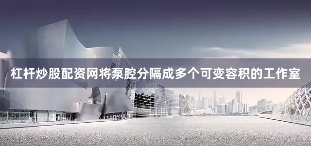 杠杆炒股配资网将泵腔分隔成多个可变容积的工作室